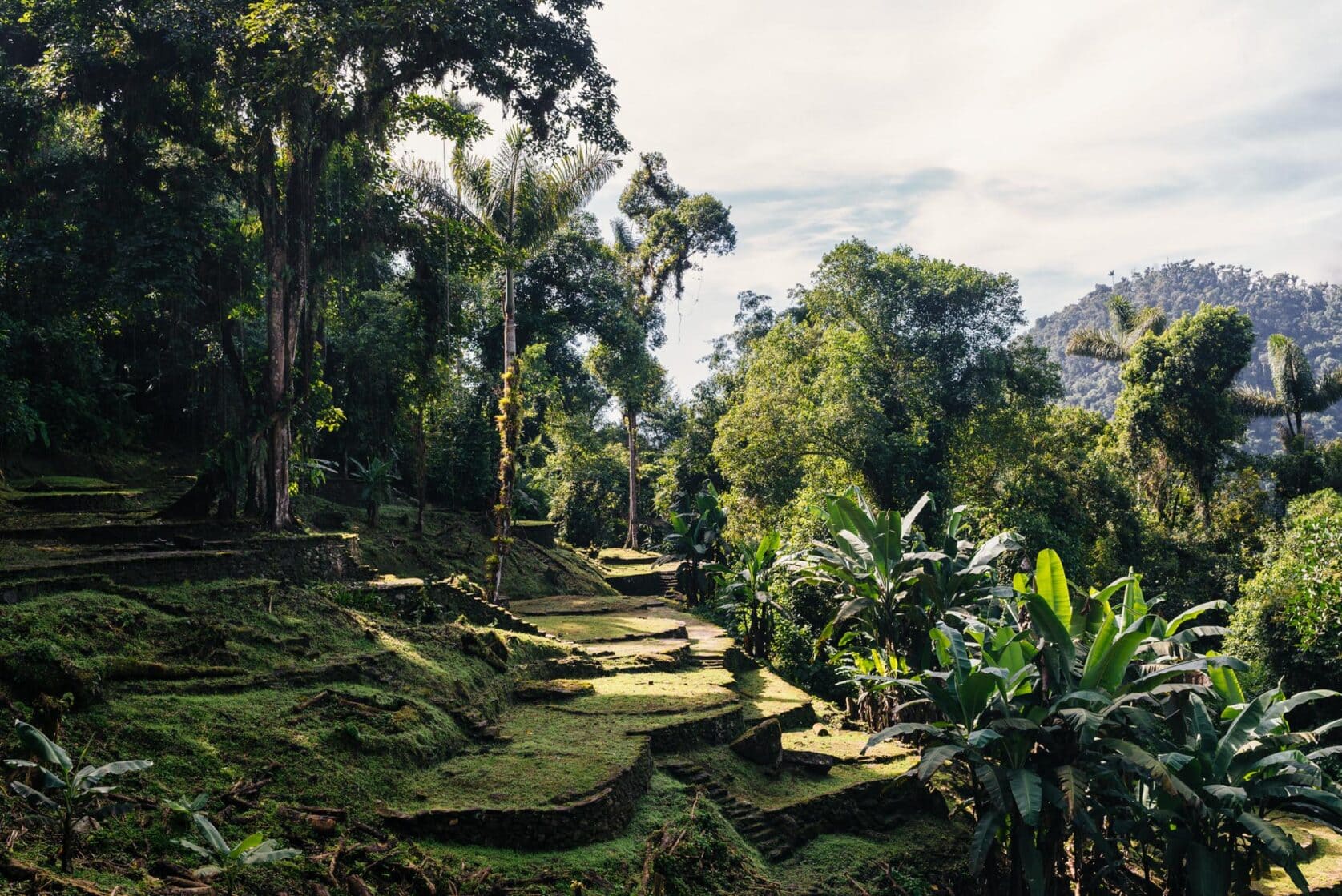 Terraces of the Lost City (Ciudad Perdida) in the Sierra Nevada in Colombia